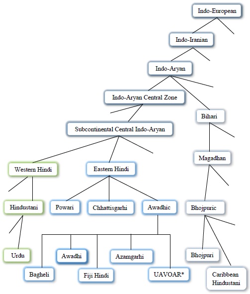 Classification of Eastern Hindi Varieties along with Urdu of Western Hindi and Bhojpuri of Bihari group given